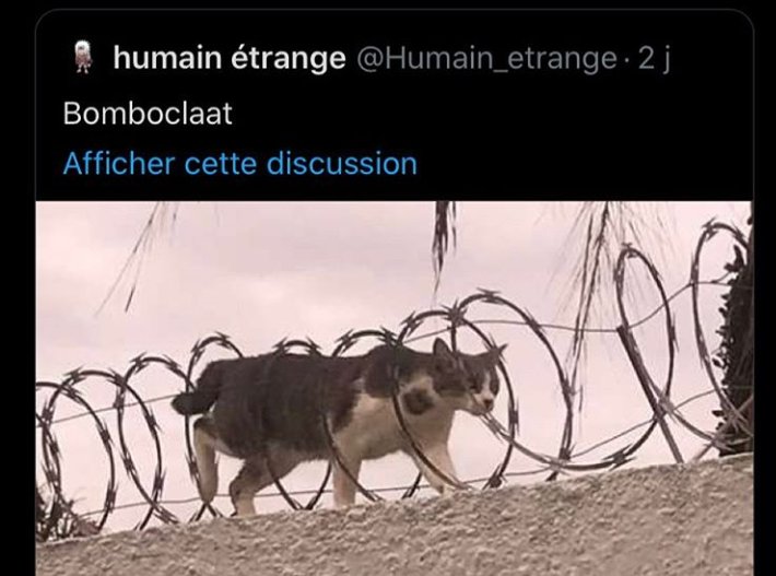 La sablaise_20 tweet media