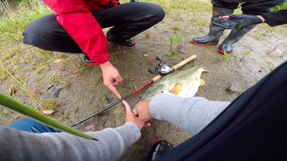 ココ釣れるんけ チャマオ おはよーございます 今日も梅雨ですねぇ て 昨日最新の動画公開させて頂いたのですが その時に釣れたバスが まさかの58cm 自己最高記録更新になりました バス釣り ある雨の日の釣行 もう 諦めてた次の瞬間