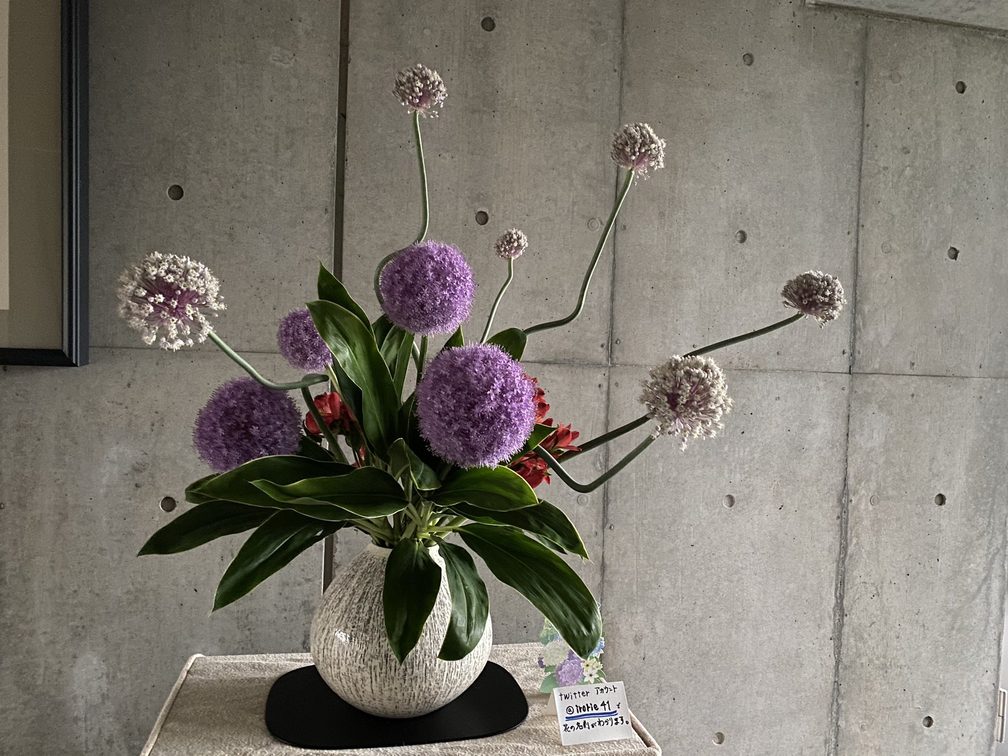 Irorie 今週の生け花 アリウムギガンチウム アリウム ドラセナ アルストロメリア 桑原専慶流 T Co I4kikp8bgu Twitter