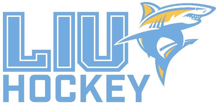 I am beyond blessed to continue my education and announce my commitment to play Division 1 college hockey at Long Island University. Thank you to everyone who has helped and believed in me along the way! #FinsUp