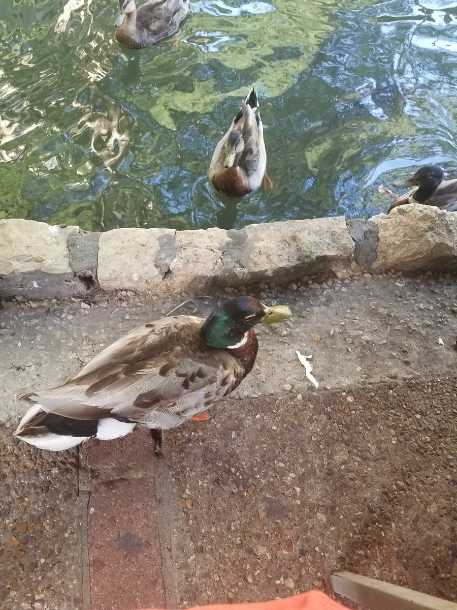 Dinner on the river!!