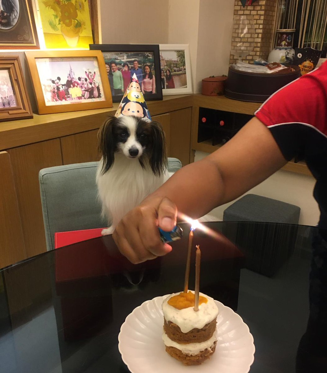 Happy birthday Turbo ..👏👏👏