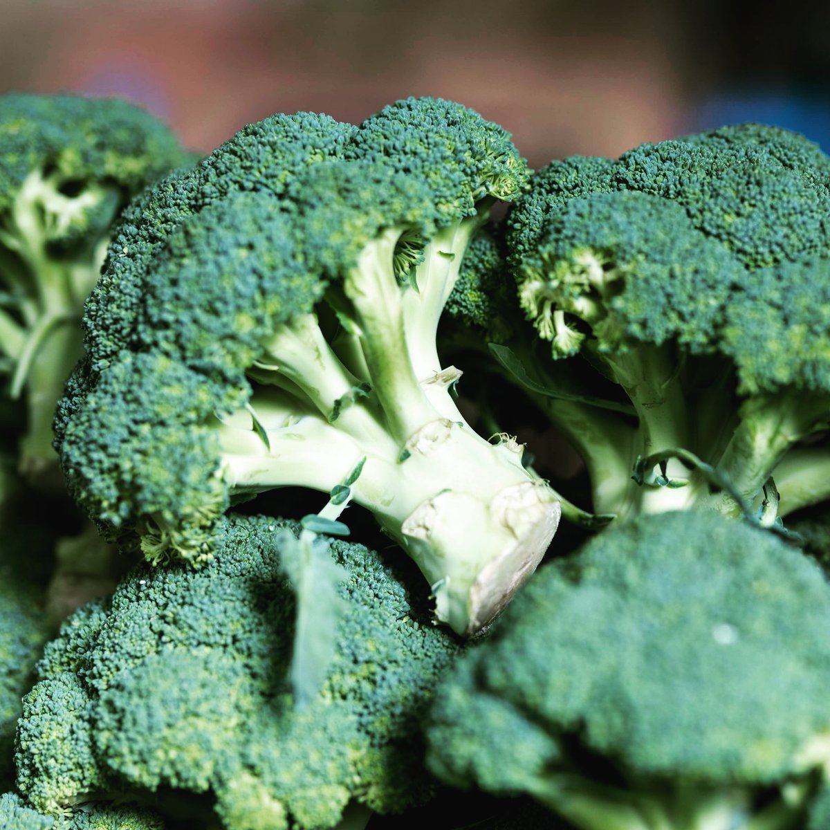 Good morning! The market is on at Campsbourne scool today 10am-3pm.
All the regular stalls will be present. 
<a href="/weareccfm/">CCFM Farmers' Mkts</a>