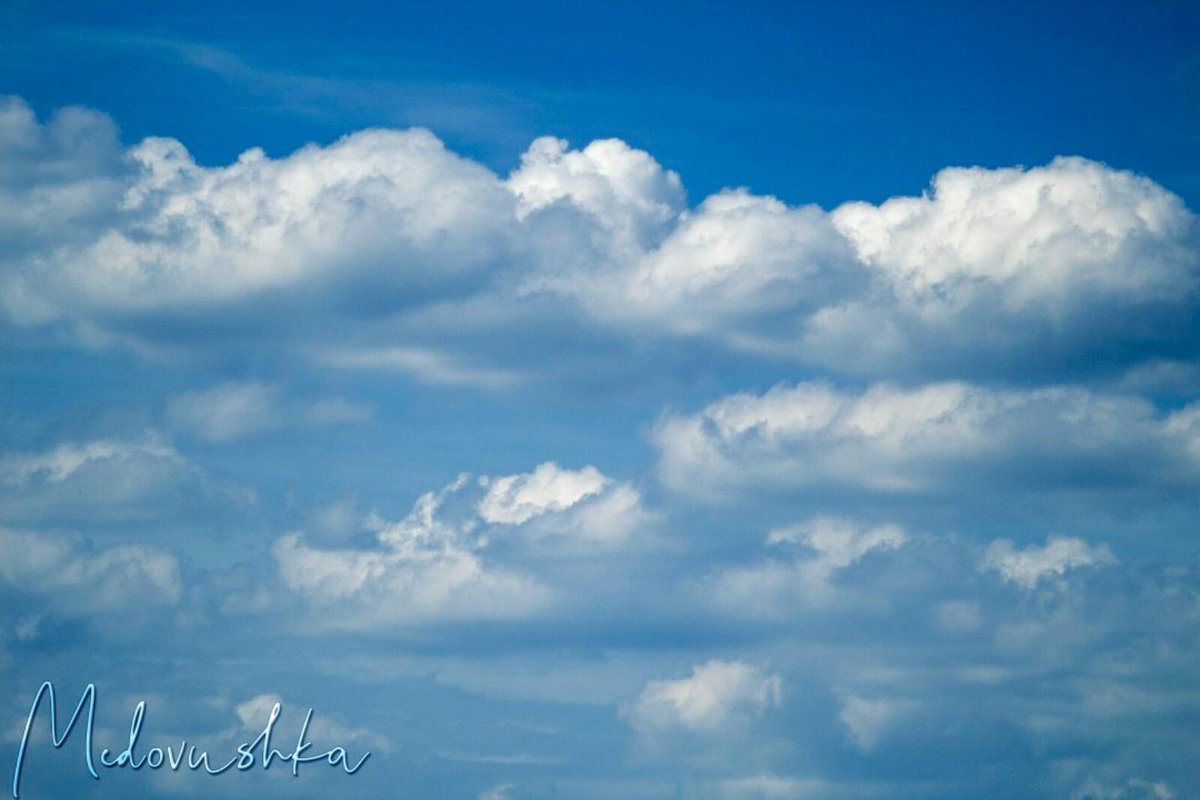 Medovushka131's tweet photo. #облака #небо #голубоенебо #пейзаж #природа #sky #bluesky #clouds #Canon600d #landscape #nature_beautiful #nature #nature_photo #nature_good #nature_perfection #beautiful_shots #beautiful_nature #beautiful_world #beautiful_sky
https://t.co/sZRAjanQr3 https://t.co/sTB0aR0rHj