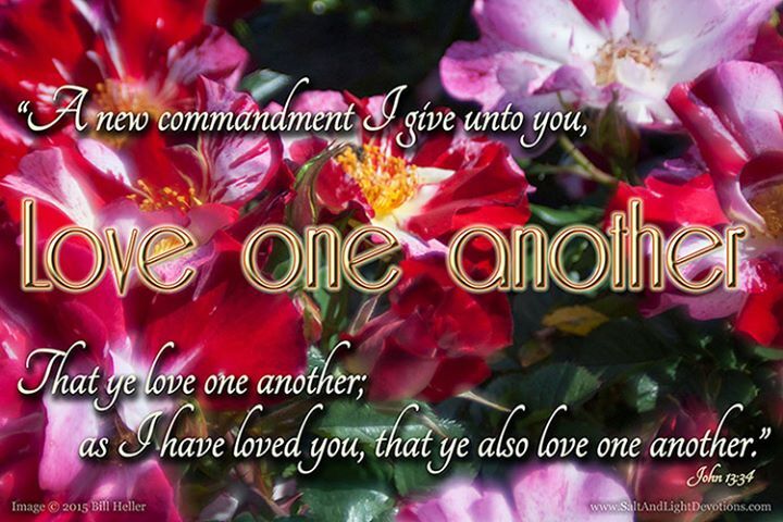 SaltAndLightDvt's tweet photo. A new commandment I give unto you, That ye love one another; as I have loved you, that ye also love one another.
35 By this shall all men know that ye are my disciples, if ye have love one to another.
--John 13:34-5 KJV https://t.co/W4Eup6L4Kz