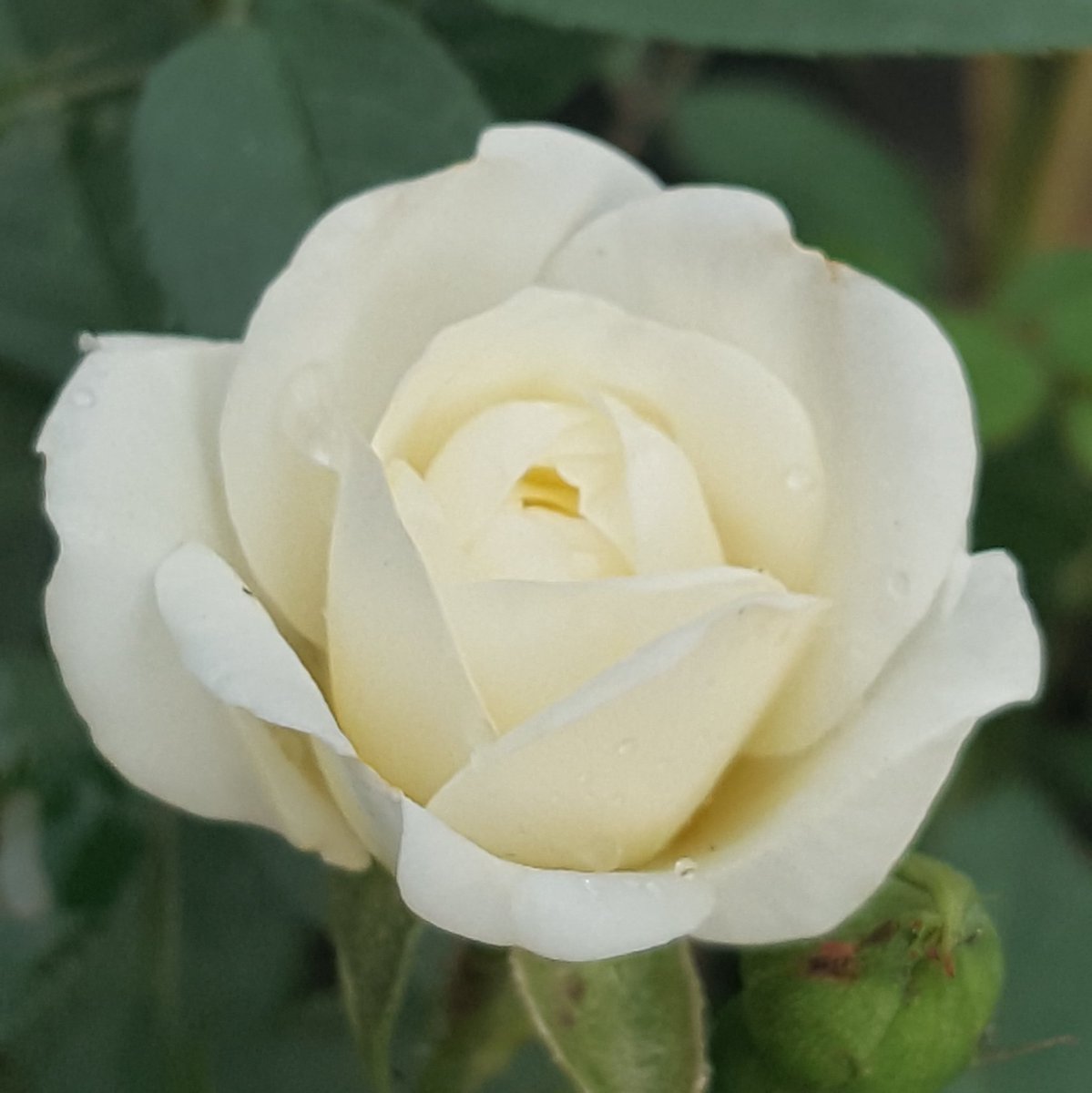 ThoaCuong's tweet photo. #AnhHosoMoi https://t.co/it3hHmgLCK