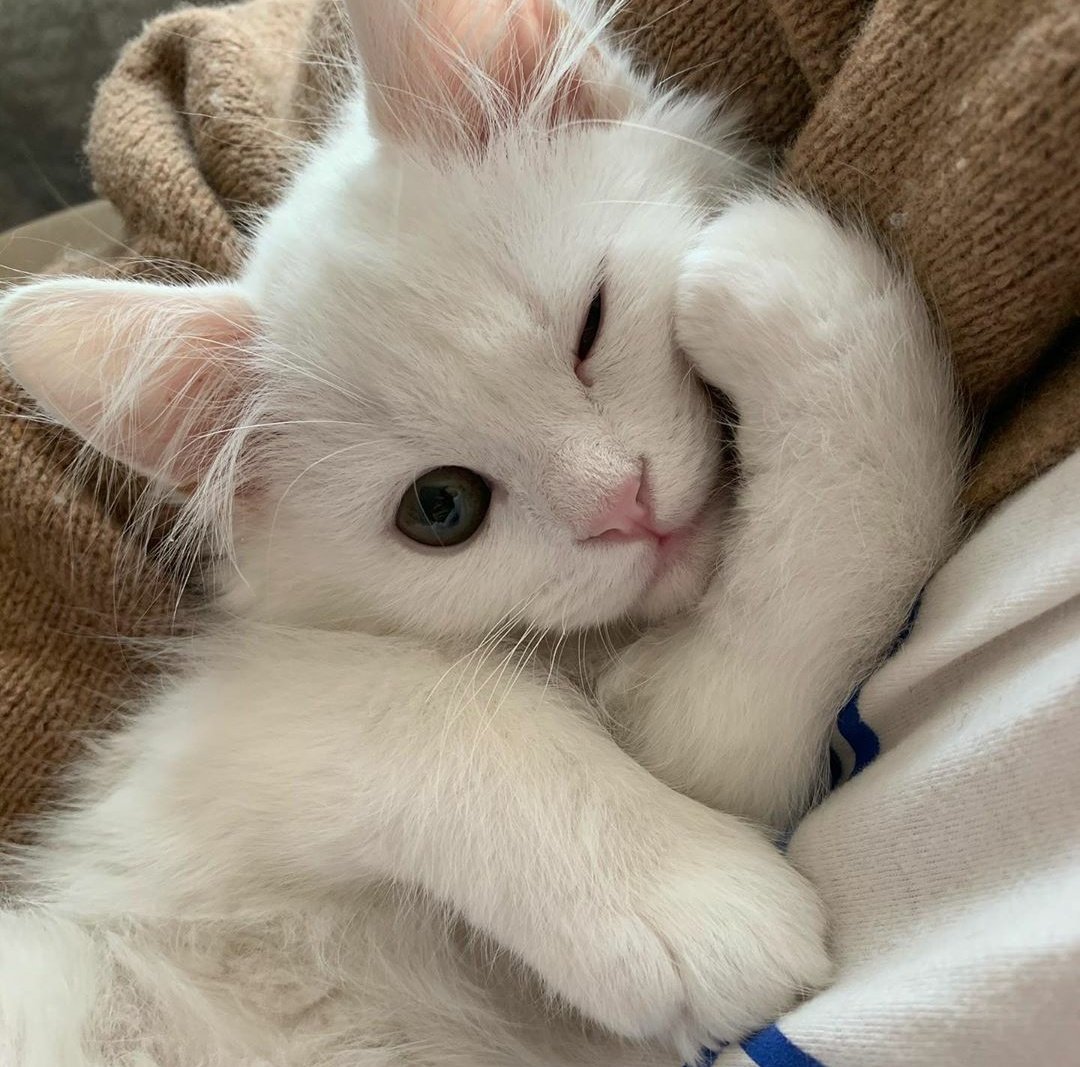 babe𝙗𝙪𝙪 ✿ tweet media