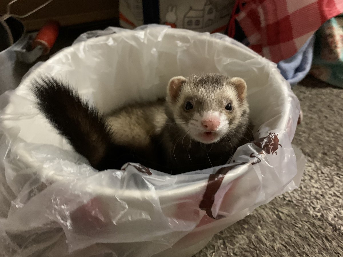 食べちゃいたいくらい可愛い