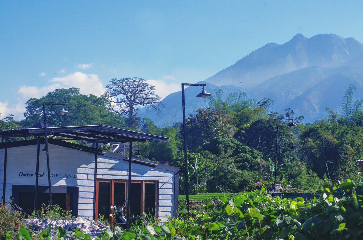 Hoki_Peace's tweet photo. Jual usaha/oper cafe beserta isinya di daerah kampus UMM, sisa sewa masih sampai 2023 dan bisa diperpanjang sewanya, luas tanah 650m2, view sawah gunung, alamat jalan dermo kawasan cafe/ngopi rame, tinggal rebranding siap jalan, op 250jt nego 081334142076 cc @infomalang https://t.co/UHHBaO4IEf