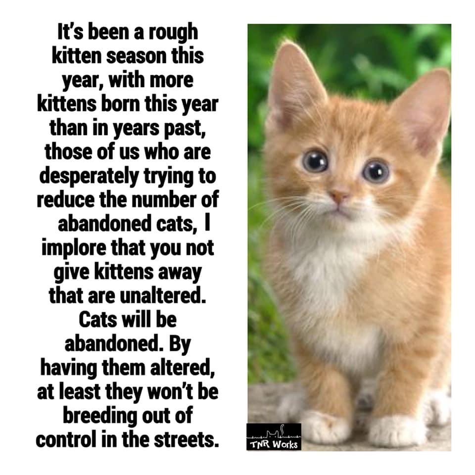Feral Friends (@FeralFriends) / Twitter Feral Friends (@FeralFriends) / Twitter