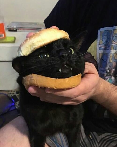 ✿; <a href="/mysticalnin/">‍ ‍ ‍ ‍RIN.</a> con él.