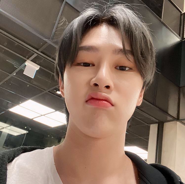 บินนีนี่ ☁️ tweet media