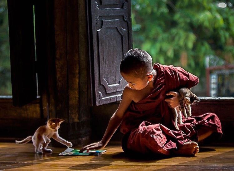 May all sentient beings enjoy happiness and the root of happiness.
May they be free from suffering and the root of suffering.
May they not be separated from the great happiness devoid of suffering.
 
- Tathāgata