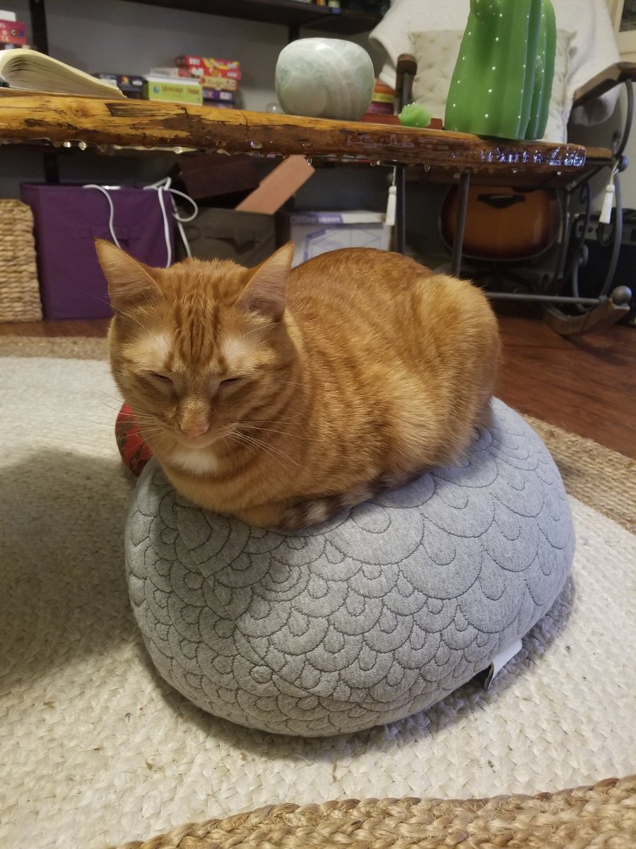 check_marc's tweet photo. @lusterly_ This is my bud Calcifer finding inner peace. hope you're able to find some too ❤ https://t.co/u5rdtgHTch