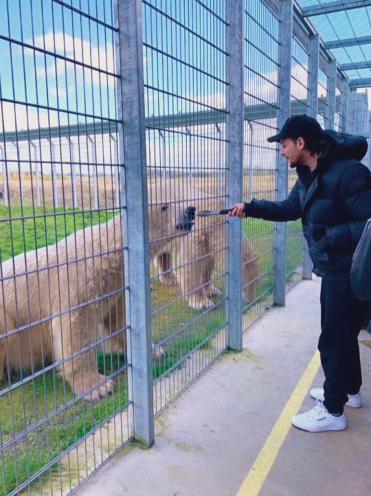 okay so it’s actually not a zoo, that completely slipped my mind, my mistake! it’s an animal sanctuary, they rescue endangered and vulnerable animals. and work with charities and conservation projects! makes it a million times sweeter.