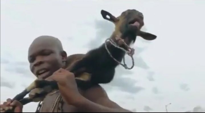 lebo79806585's tweet photo. #TwerkForPhume no that song I am a goat just got a new meaning, ladies re jola le dilo xem https://t.co/HgDBE5Z7p3