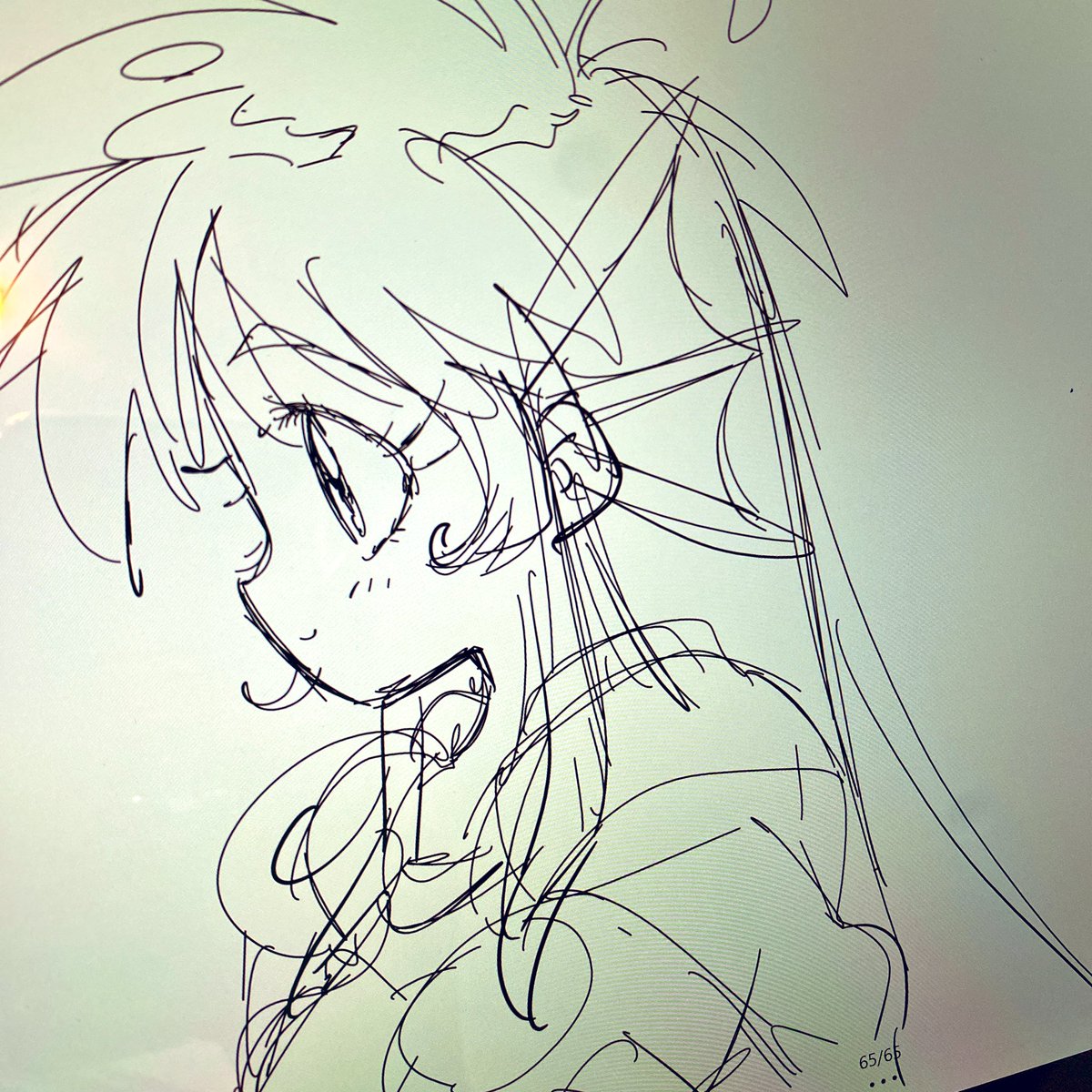 川元まりこ V Twitter デジタル絵なのにカメラで撮るっていう