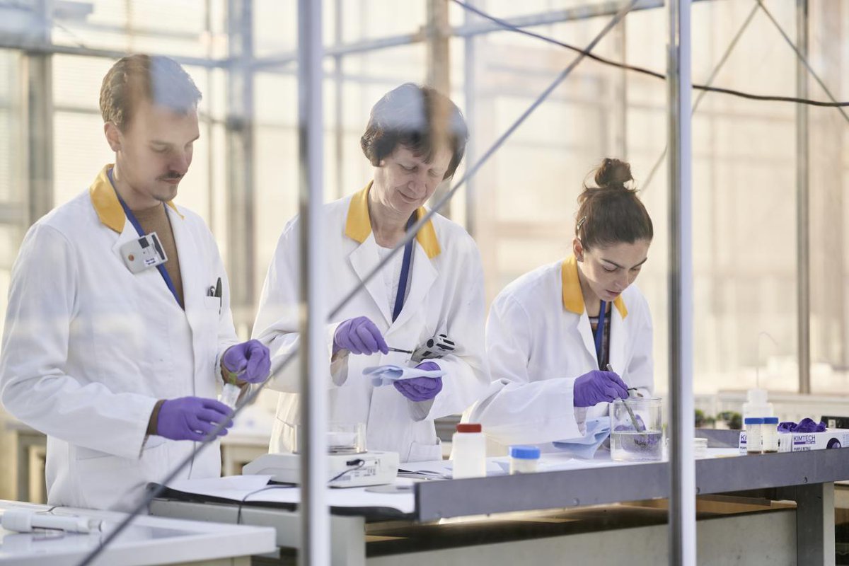 gadelshinvm's tweet photo. 📢Researcher: Radiation Biomarkers @SCKCEN
#ToDo Develop molecular biomarkers to assess the effects of radiation on cancer &amp; normal tissues 🔬
#RQMTS PhD/MD in Bio- logy/engineering/medicine/informatics, 💪 interest in research, EN/FR/DUT
#DL 24.06.20⚡️
https://t.co/QNGYrgsebX https://t.co/NWTh4qI4VK