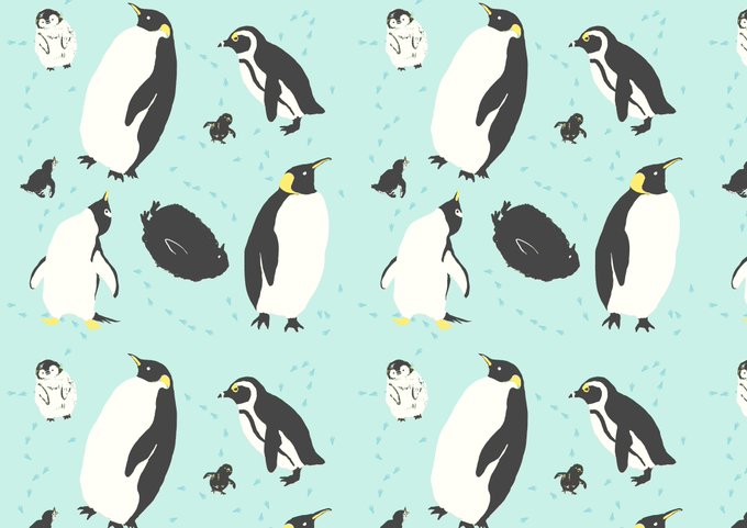 ケープペンギンのtwitterイラスト検索結果