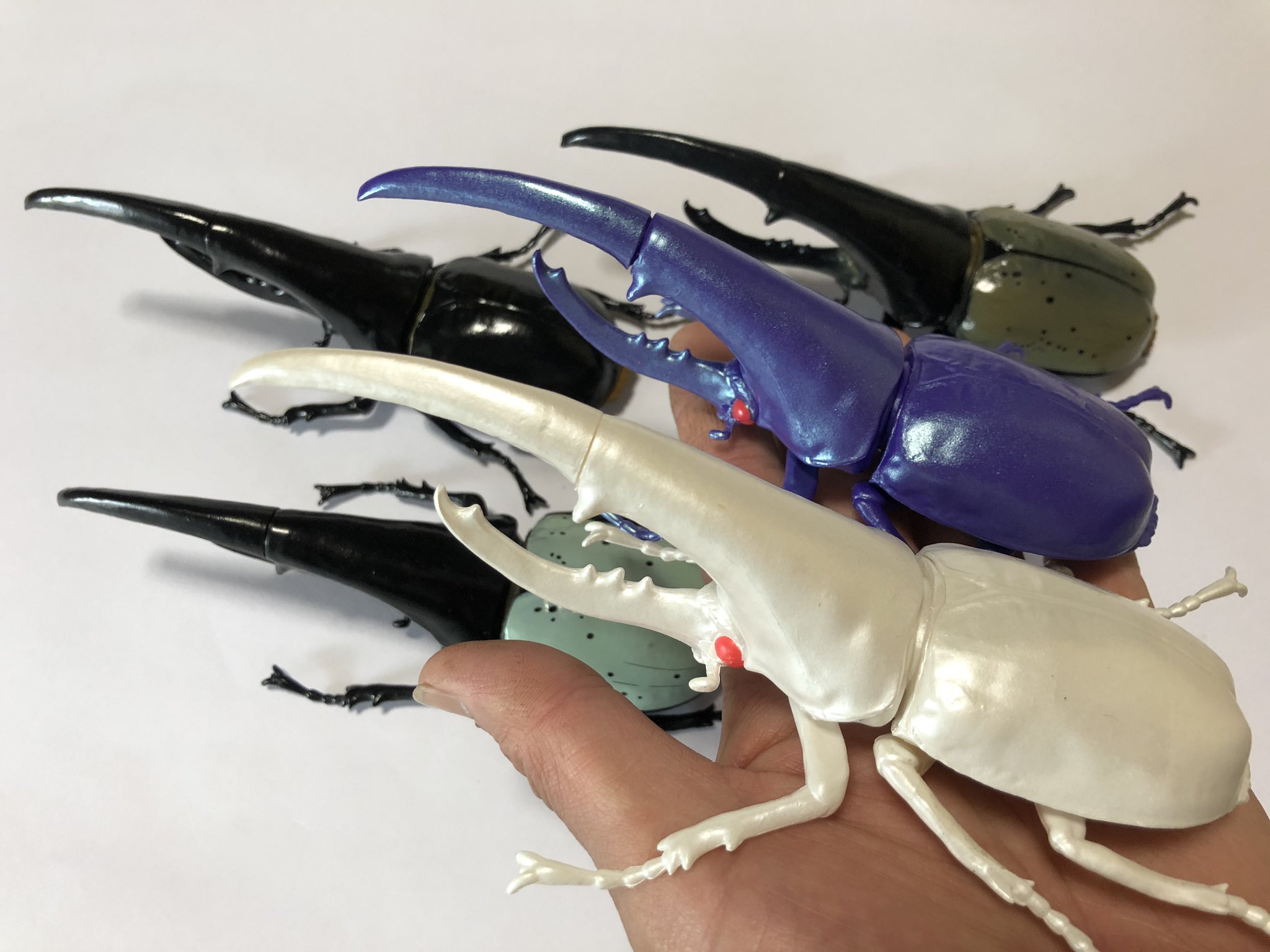 Hiroka 1 1ヘラクレスオオカブト 新色 パール系2色を追加で第2弾が発売です バイオレットパープルは カッコいいしホワイトパールもキレイです ヘラクレスオオカブト ヘラクレスガチャ T Co Vbiq4c4zy2 Twitter