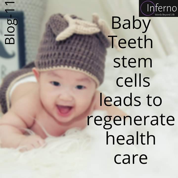 oinfernoblog's tweet photo. 📢 #BLOG11 
Do you know that stem cells from baby teeth could regenerate tissues and even other organs in the body? 
Check out the blog to know more... 
Link is here👇
https://t.co/fBDvYHARlh
Or
https://t.co/eQKfYHFAc9
#Oinferno #blog #blogger #babyteeth #teeth #tissues #writing https://t.co/BxkGBa1TUp