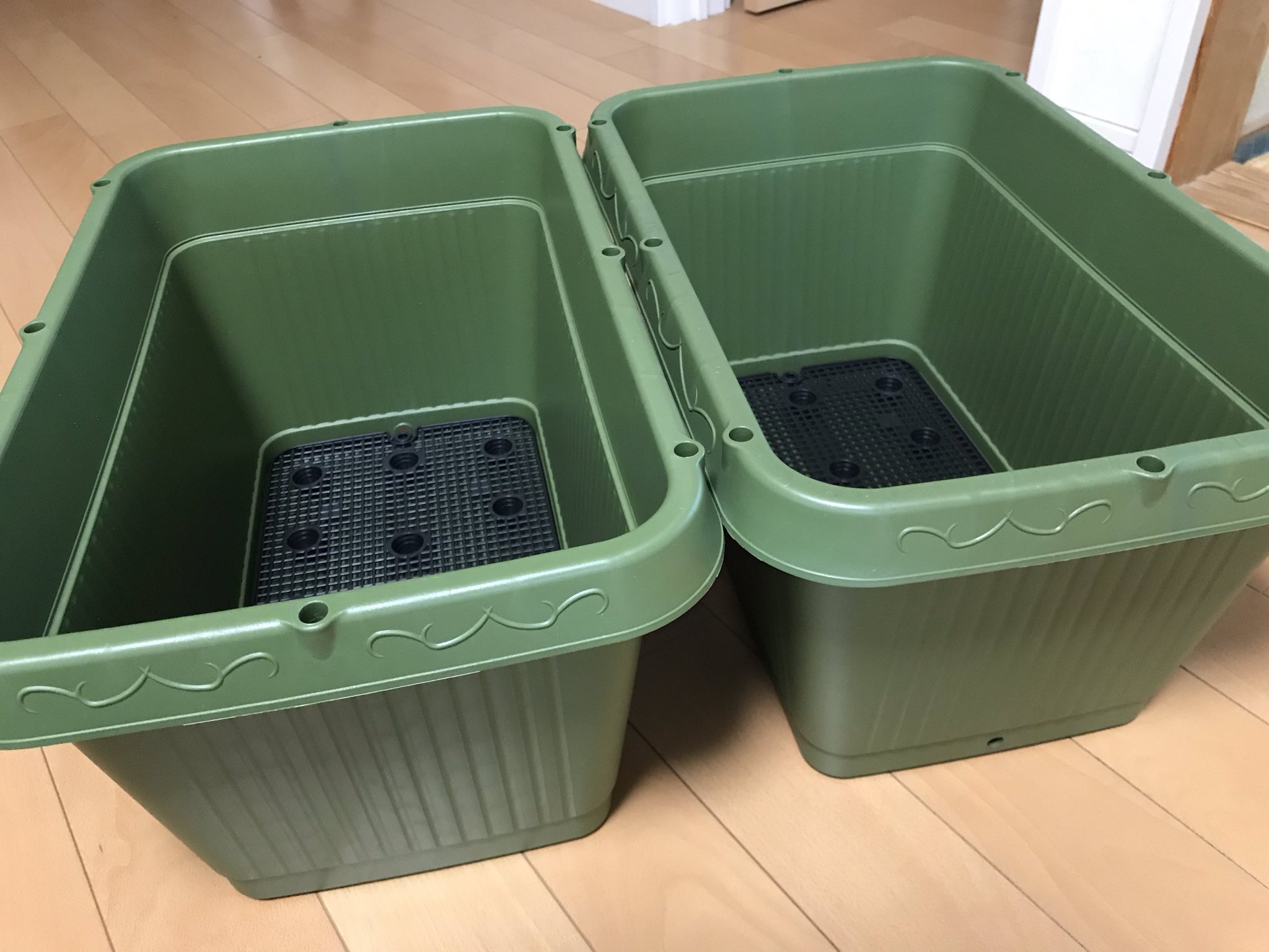 メダカの日常 今日のお買い物 24lプランター容器購入 これで 松井ヒレ長星河と白ラメヒカリ オーロララメの稚魚育てれる 24l プランター容器 メダカ 飼育容器 T Co Woqib1lfhj Twitter