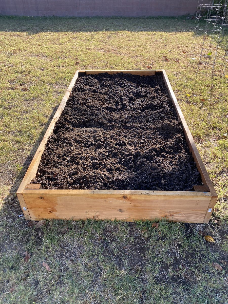 This garden bed is primed for some planting tomorrow.