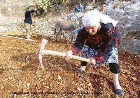 DrBrakat's tweet photo. قَالَت لِي سَتُفرج ذاتَ يَوم، وَأُمَّي إِمرَأَة لَا تُكذِب https://t.co/kEShrWJ5xw