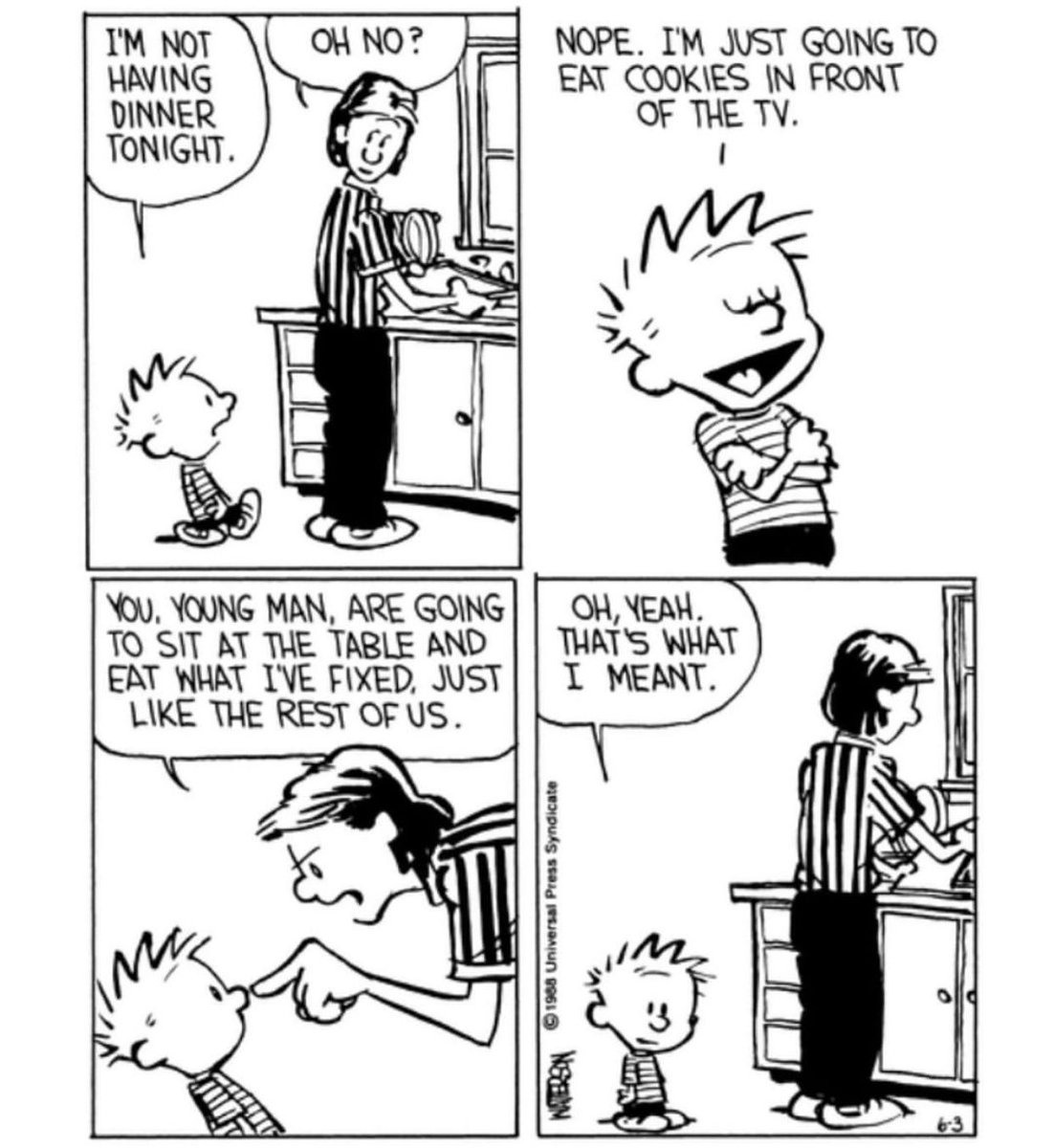 Calvinn_Hobbes's tweet photo. Moms know best 😅 #calvinandhobbes https://t.co/iX9OzcM6kk