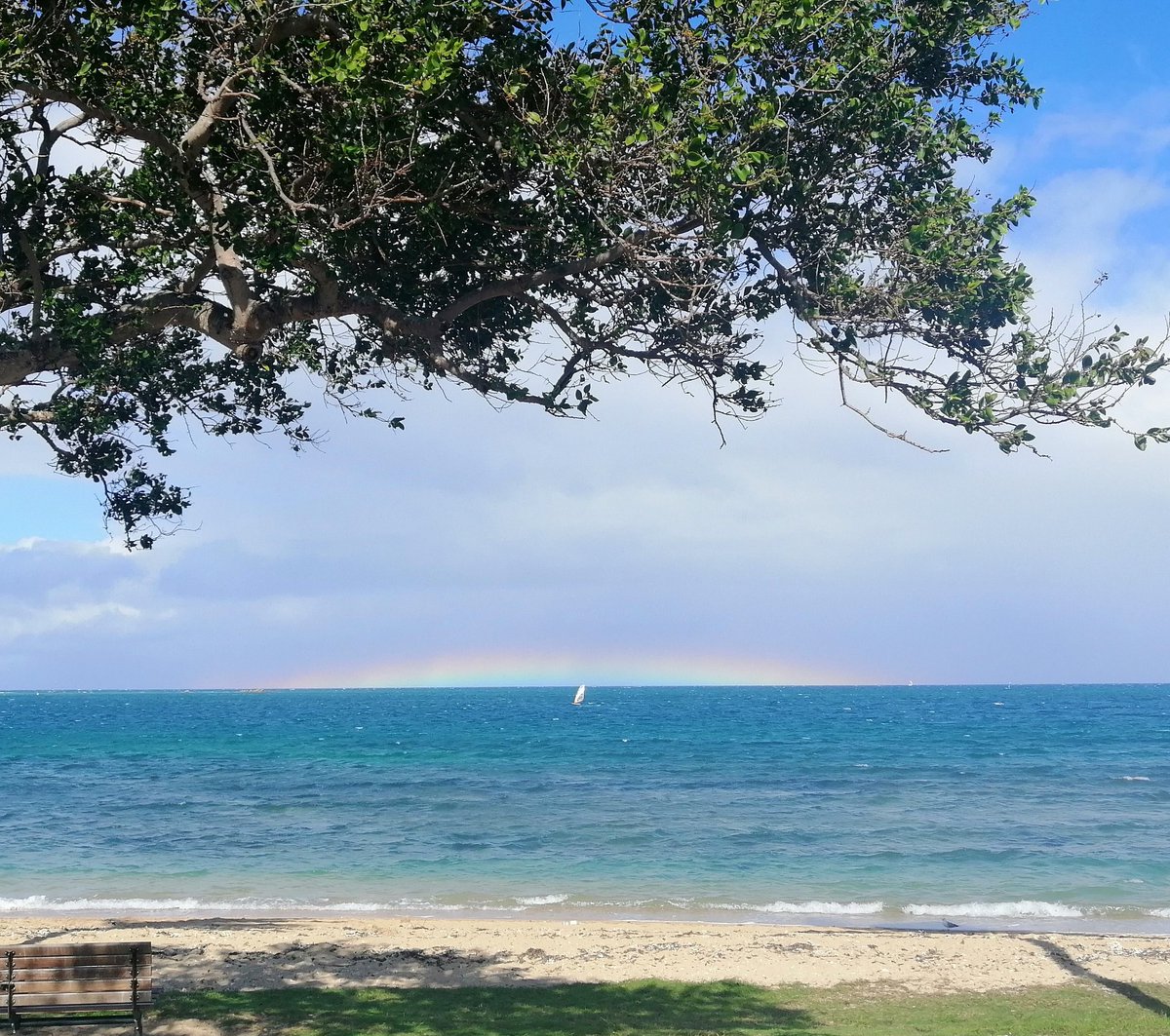 GrilletteLmr's tweet photo. Dimanche de repos, pas de photo d'animaux (ou de l'intérieur des animaux 😁), mais j'ai quand même vu un truc sympa aujourd'hui.
Arc en ciel à l'anse Vata.
#nouvellecaledonie #rainbow #ansevata https://t.co/CdWanodsnI