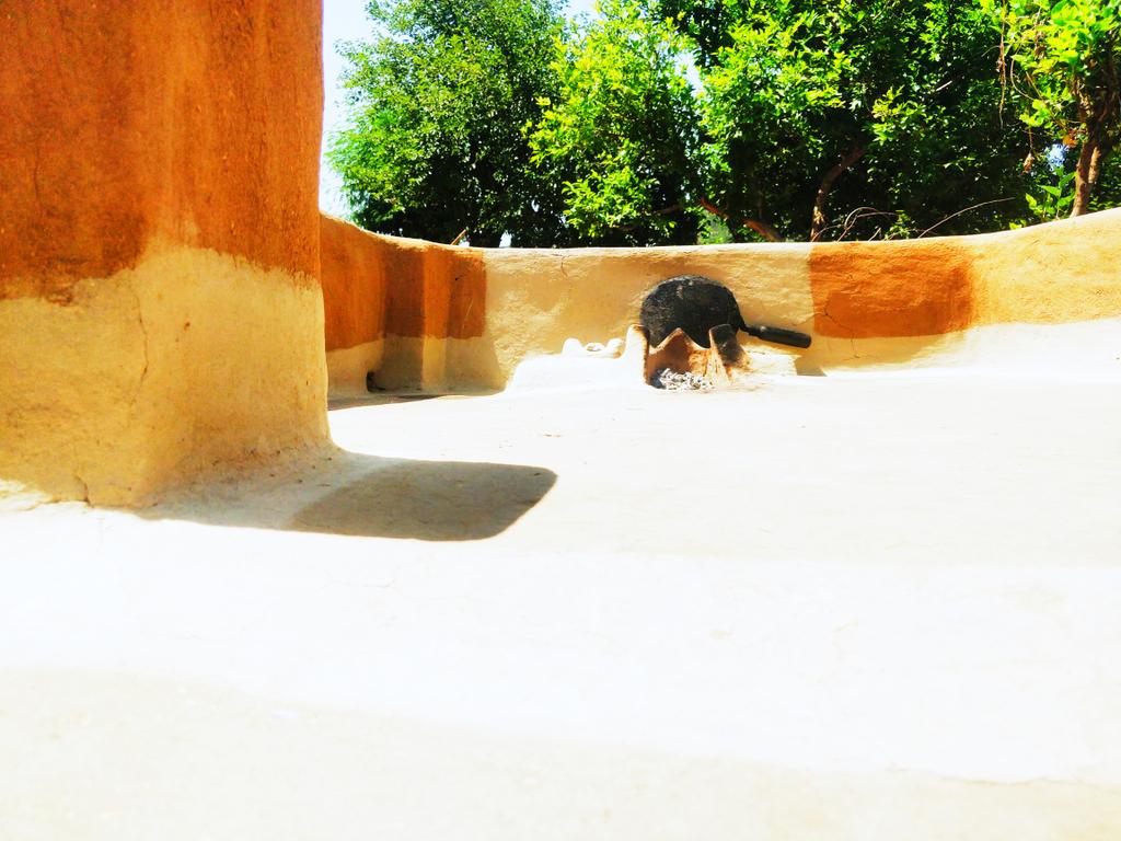 Narinder Raina🇮🇳 tweet media