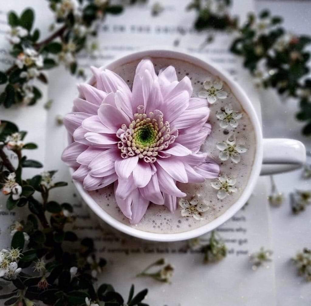 ،؛،
لا مواعيد محددة للسعادة فهي في الغالب تأتي عندما لا نستعد لها فتفاجأنا أحيانا في قمة إنهزاماتنا فتلمس مواضع الإنهاك في قلوبنا فتزيلها....
 لايمكننا تخمين طرقها على أبوابنا ولا يمكننا التنبأ بها ...ولكن حتما عندما تأتي نشرع لها كل الأبواب 
،؛،
#حروف_م_القلب 
#حروف_وقهوة