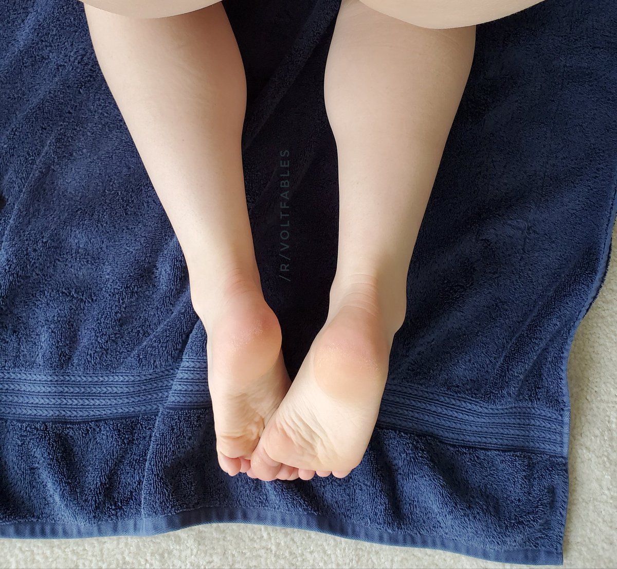 voltfables's tweet photo. Good morning 😘 come give them a rub? https://t.co/0Ye9SaBmM2 #footfetish #soles #feet #cutefeet #sexyfeet #footfetishnation #prettyfeet #barefeet #fetish #feetworship #feetfetish #feetpic #feetlick #feetoftwitter #feetnation #footgodess #voltfables #voltfablesonreddit https://t.co/9YizTr1jkS