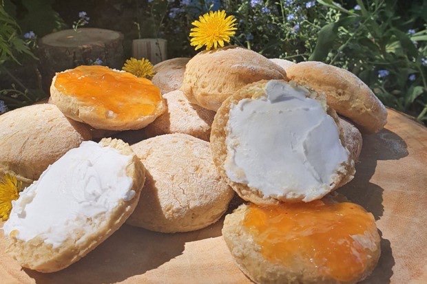 McDJohanne's tweet photo. Des scones aux pissenlits, Γ§a vous dit? π
Dandelion scones anyone? π
#recette #dimanche #Recettedujour #recettes #recettedudimanche #Foodie #recipe #recipes #SundayFunday #sundayvibes #fun #nature #garden #Cooking #cookingwithnature
https://t.co/by17AC2vcq https://t.co/W5Pbppvpvu