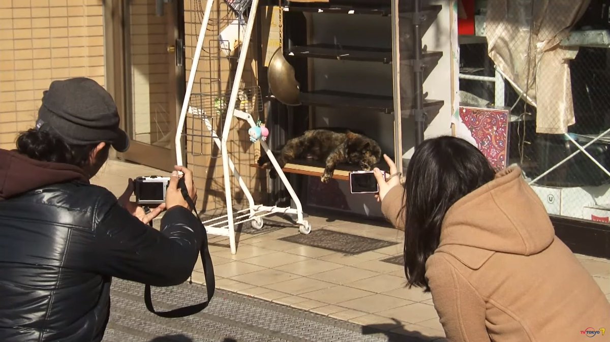 Kawasann 日暮里 谷中銀座来たー 猫だー って1週間くらい前に自分も見かけた猫では 公式 孤独のグルメ 夏の腹ペコグルメ特集 文京区根津 飲み屋さんの特辛カレーライス T Co Mtkmxgvzox