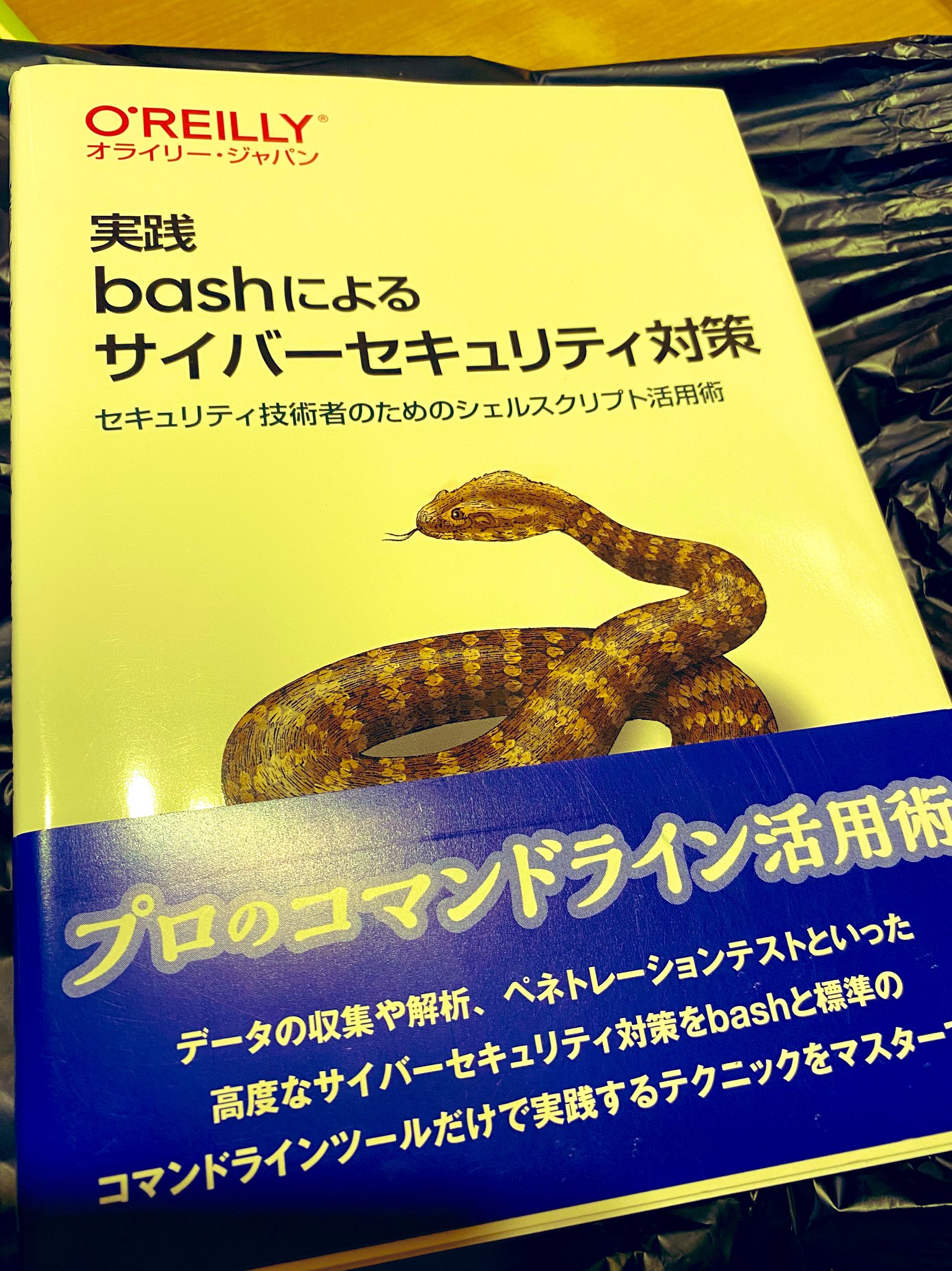 ホット販売 実践 Bashによるサイバーセキュリティ対策 セキュリティ技術者のためのシェル 1d0c210c 単品販売 Cfscr Com