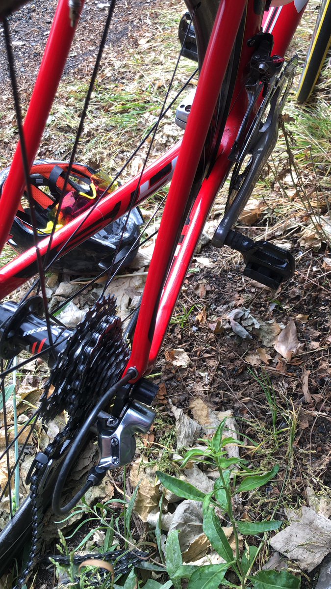 4thcatproblems's tweet image. #pickedup 🤬😡 When Do The Fucking Pubs Open !!!