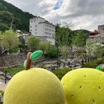 ツイートに含まれる画像