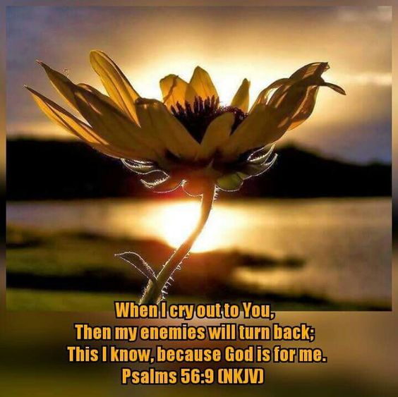 Wsjc810's tweet photo. No matter who or what is against you at this time, Remember God is for you. https://t.co/w7ahly6TD2