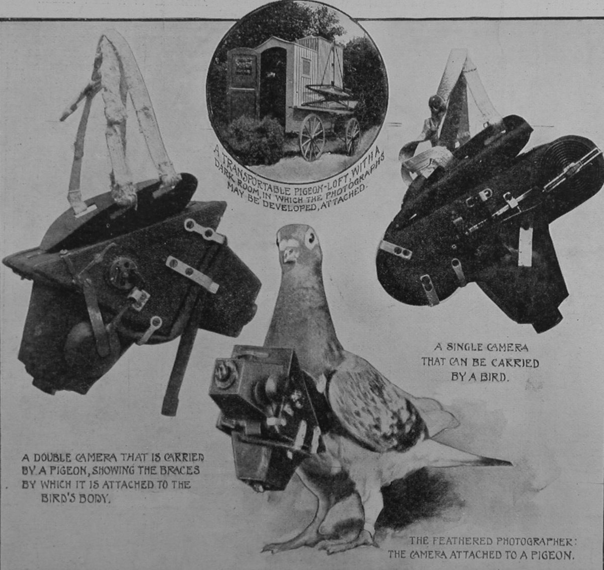 Según sus propias memorias, después de una docena de modelos, creó un aparato de poco más de 40 gramos que podía acoplarse al cuerpo de las aves mediante un arnés y una coraza de aluminio, y que permitía tomar 12 imágenes de 3x6 centímetros