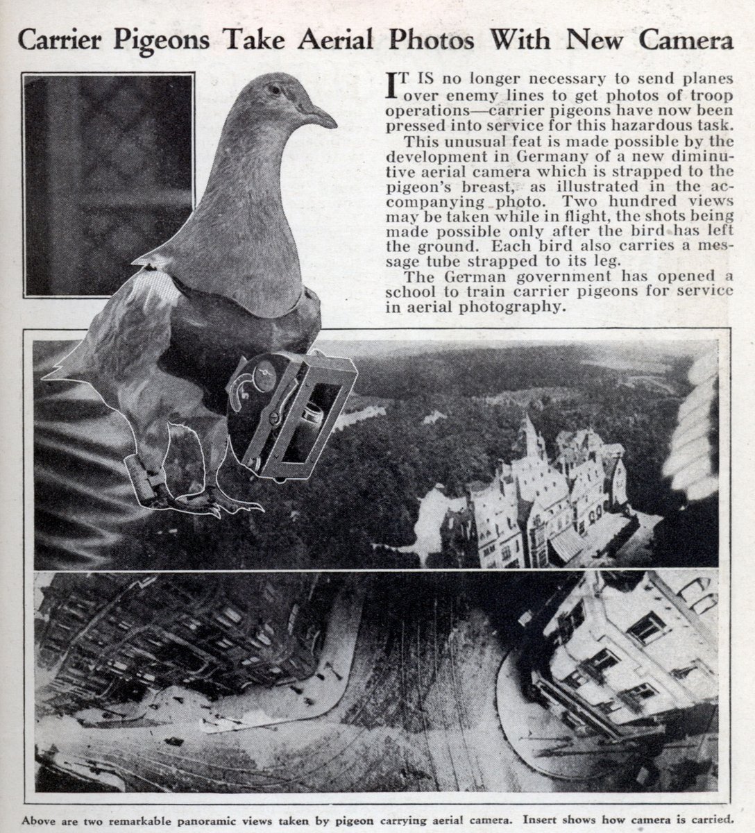 En 1909 todo el mundo se hizo eco de las "palomas fotógrafas" tras la Exposición Internacional de Fotografía de Dresde (Alemania), donde los asistentes pudieron adquirir postales con las imágenes aéreas tomadas allí mismo por las aves