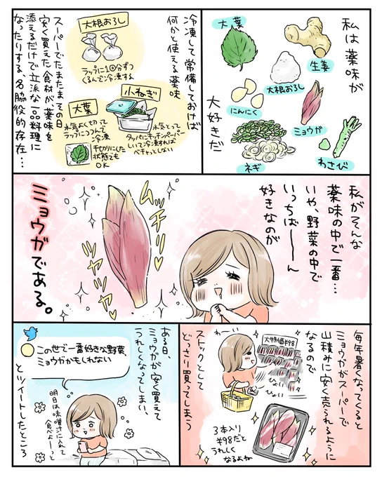 今回ご紹介するレシピは、ミョウガと大葉の肉巻き。ごはんのおかずにも、ビールのおつまみにも。おろしポン酢につけてさっぱりでも、甘辛ダレでしっかり味付けしてもおいしいです?ミョウガが好きすぎて最近毎日食べてる。冷蔵庫のストックがなくなると不安になってくるくらい…笑 