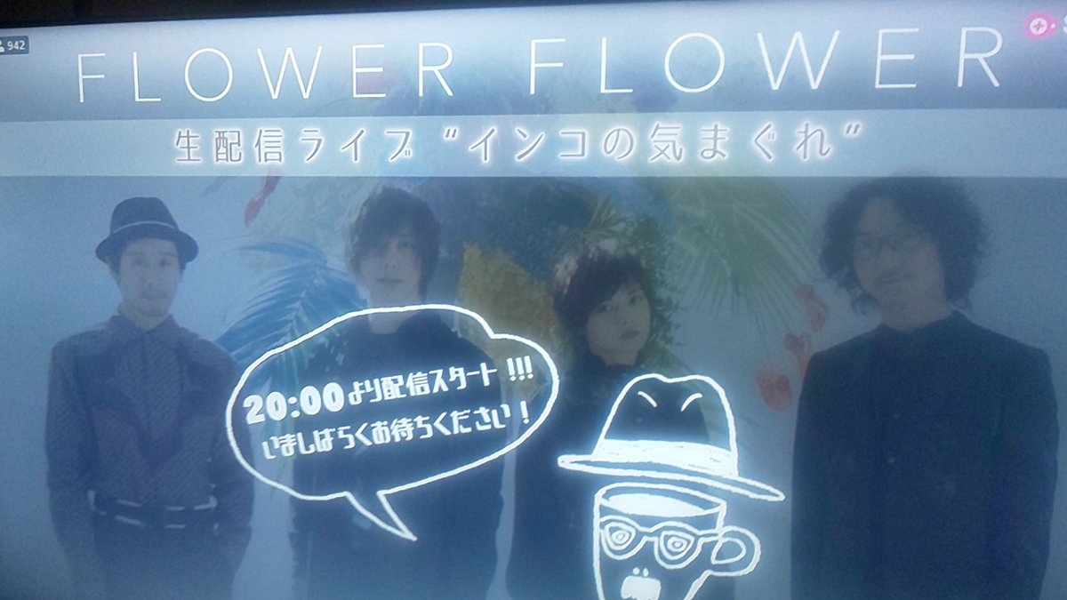 もうすぐ！！

 #FLOWERFLOWER
 #インコの気まぐれ