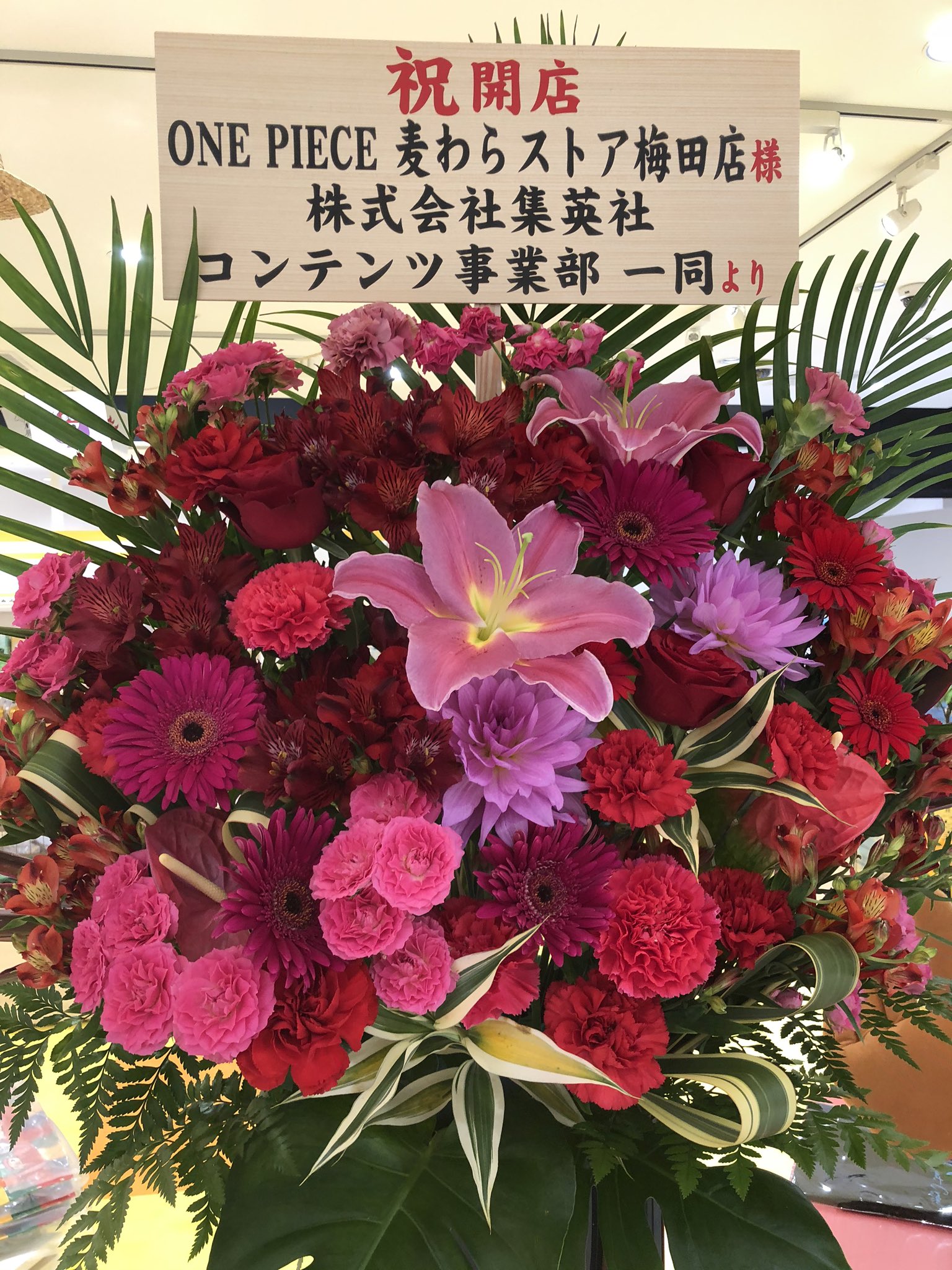 麦わらストア梅田店 Twitter Search Twitter