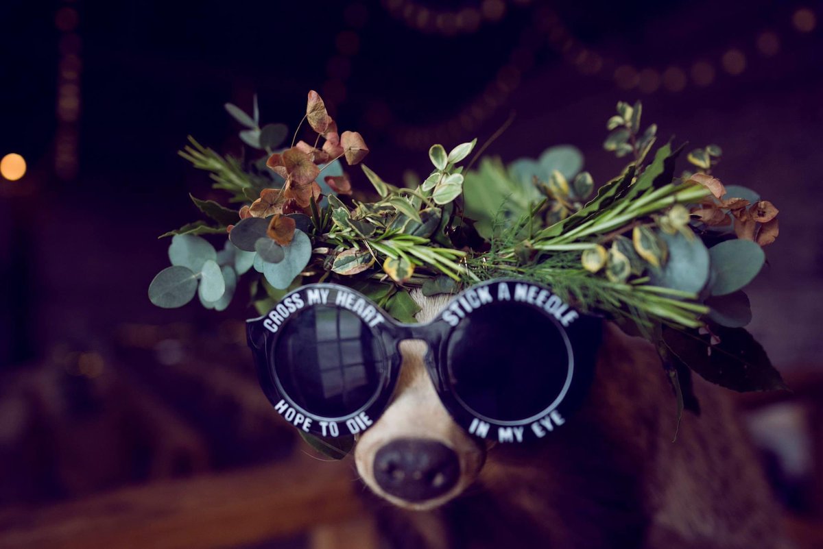 CelebrationW's tweet photo. Love you till I die x #lastingwords  #lifetimelover #alwaysandforever #lockdownlove #alternativeweddings #outdoorceremony #woodlandceremony #personalceremony #independentcelebrant #yorkshirecelebrant #woodlandwedding #woodlandweddingvenue #onthedaycoordination  @NellyNaylor https://t.co/IOntEFX1lo