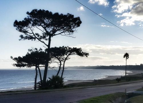 Dramanticmsc's tweet photo. Good morning friends...
Happy Sunday to all...
Enjoy your day and be happy
Take care of you and those you love...

Uruguay... https://t.co/VTtICbDHvh