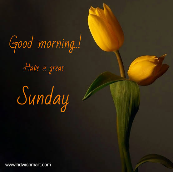 Zach Projects Ng Happy Sunday To You Do Have A Great And Fun Filled Day Sundayvibes Sundayservice Michaeljacksonvindicated Dontleavemechallenge Obaseki Aso Rock The Bible Mazi Dr Anu Yoruba Billionaire Portuguese Zach Projects Ng Happy Sunday To You Do Have A Great And Fun Filled Day Sundayvibes Sundayservice Michaeljacksonvindicated Dontleavemechallenge Obaseki Aso Rock The Bible Mazi Dr Anu Yoruba Billionaire Portuguese