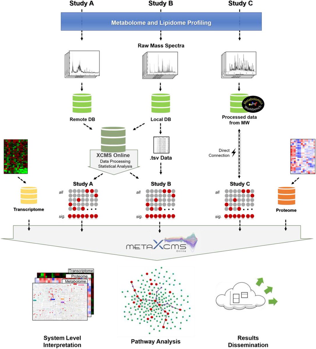 BiswapriyaMisra's tweet photo. Wow!!! @Amelia_Palermo @mrins01 @ScrippsMasspec
S. Subramaniam & @kadzuis set the tone right for Analytical Science Advances #ASA:
#Cloud‐based #archived #metabolomics data: A resource for #fragmentation #annotation, #metaanalysis and #systems biology: https://t.co/iIyH0G427e https://t.co/FFOYQMLsYE