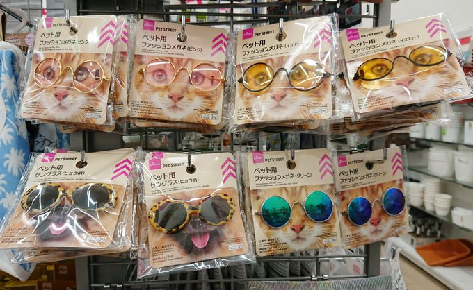 ダイソー ペット用のメガネが可愛すぎて悶絶 ぬいぐるみや人形にも いまトピ