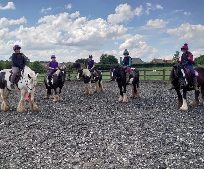 Coloured Cob Equestrian Centre tweet media